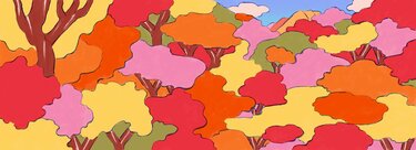 COLORFUL：カラフル｜「COLORFUL」は、双葉社による文芸総合サイトです。