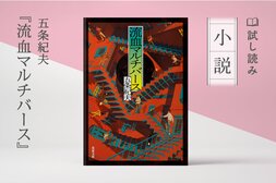 流血マルチバース(4/4):イメージ