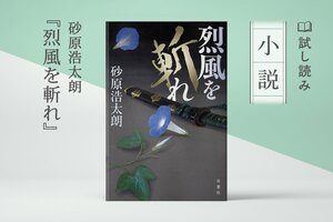烈風を斬れ(1/1)	:イメージ