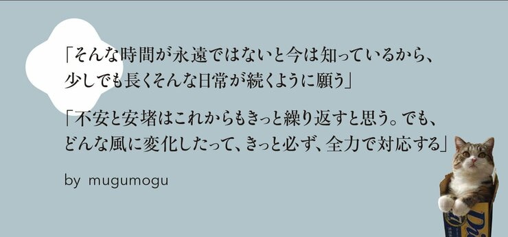 まるです。猫と暮らすということ。