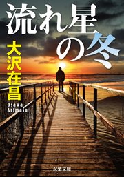 流れ星の冬 〈新装版〉