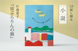 宙ぶらりんの箱(1/4):イメージ