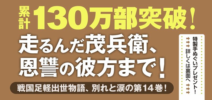三河雑兵心得 14　豊臣仁義