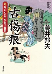 新・知らぬが半兵衛手控帖 11 古傷痕
