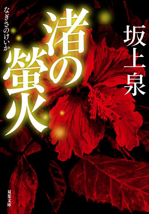 ン 大人気 新品 ノ 渚の螢火｜COLORFUL タイムセール