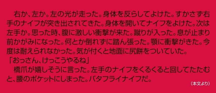 法外捜査