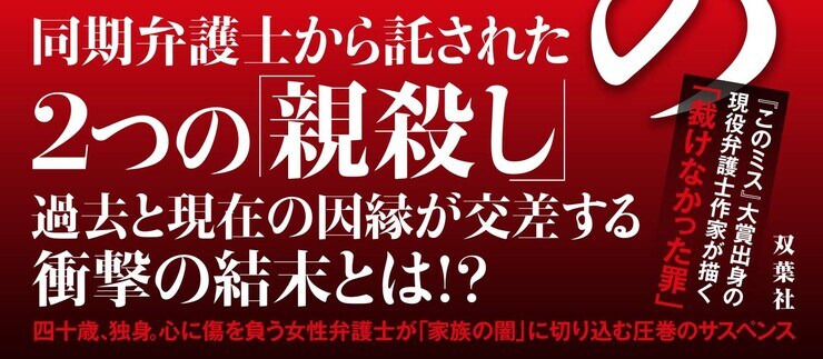 正義の段階　ヤメ検弁護士・一坊寺陽子
