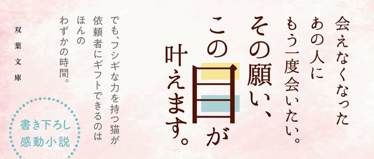 猫の目を借りたい