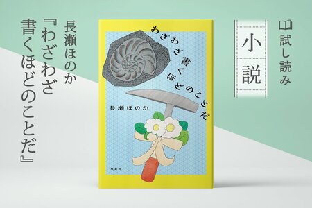 わざわざ書くほどのことだ:イメージ
