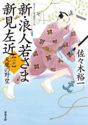 新・浪人若さま 新見左近 【二十】 天魔の野望