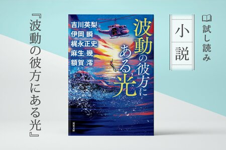 波動の彼方にある光:イメージ