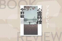 鎌倉署に常駐する、心霊現象絡みの事件を担当する特捜班。恐怖とロマンの匂いを漂わせる「霊」たちの存在とは？『心霊特捜〈新装版〉』今野敏:イメージ
