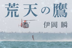 荒天の鷹