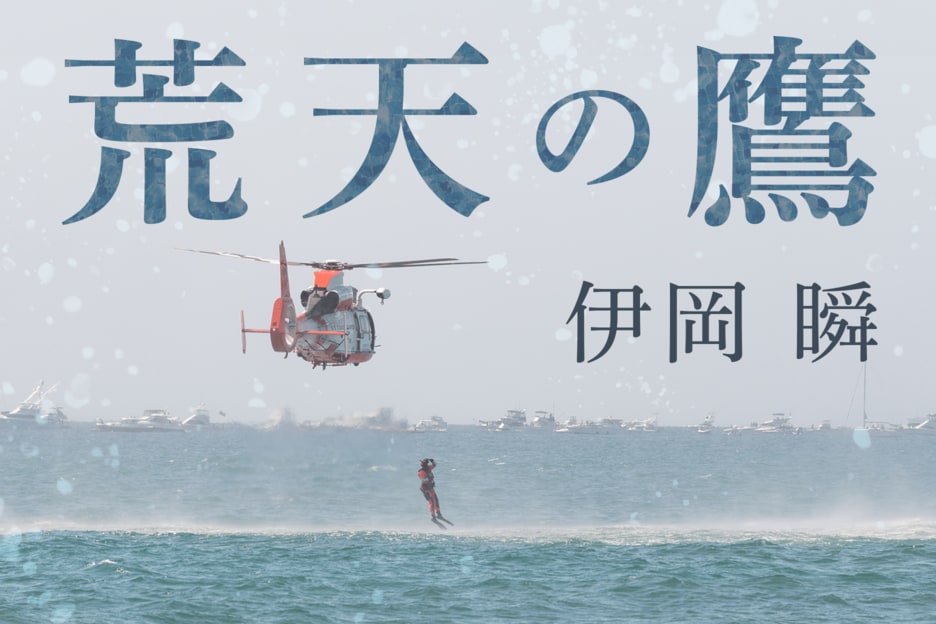 荒天の鷹