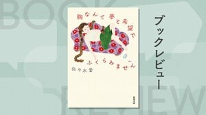 推しのアイドルの結婚相手がEかFかは人生の大問題。胸の悩みからはじまる４つの物語　『胸なんて夢と希望でふくらみません』佐々木愛