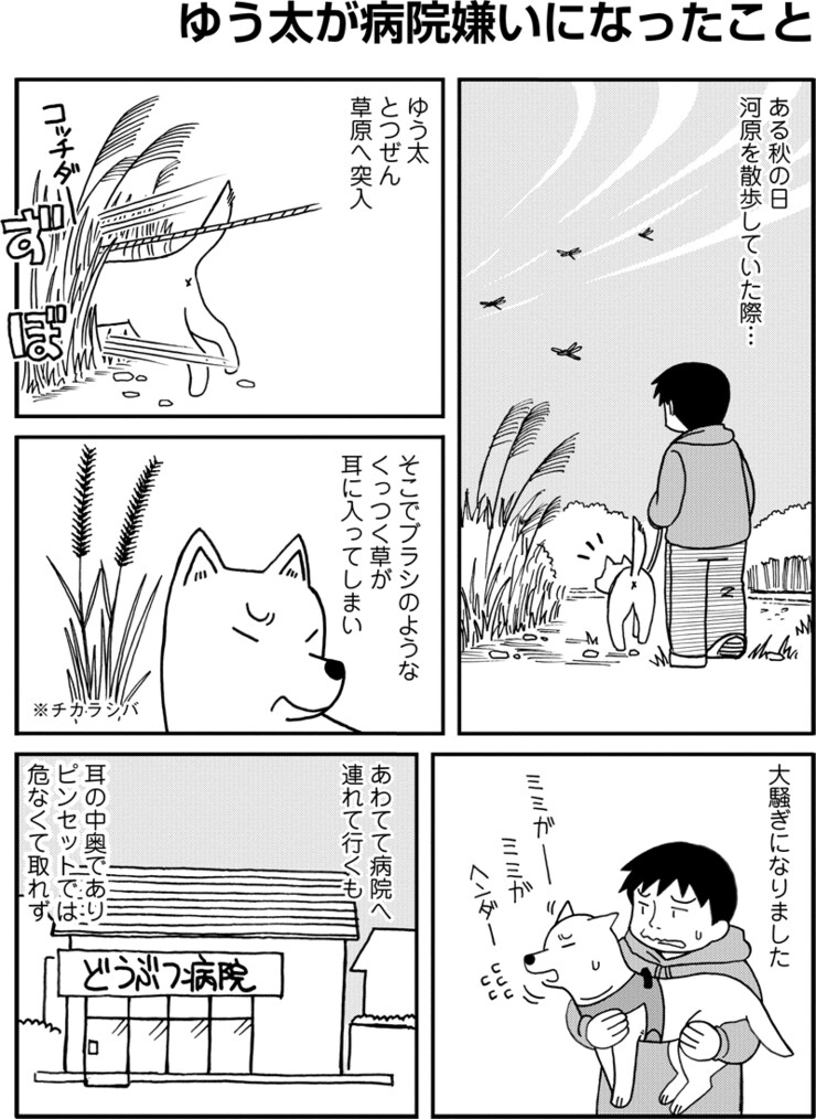 ゆう太のこと 第1回 020