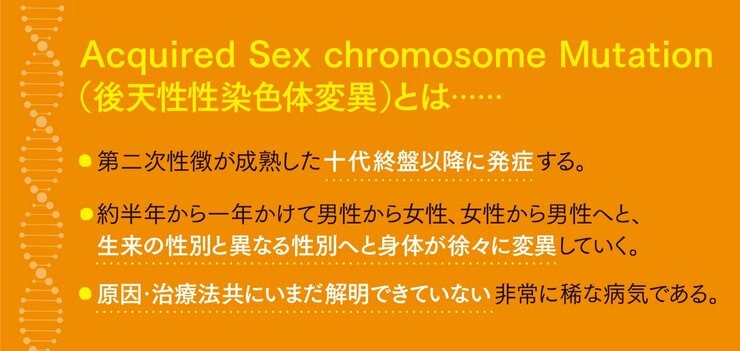 虹のような染色体