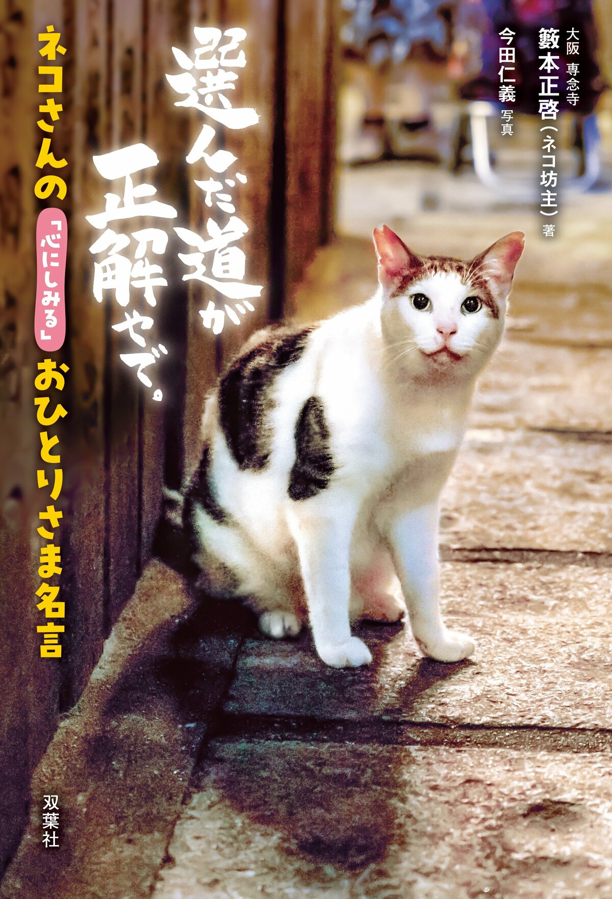 にゃんこの金言でほろりと泣けて、元気が出る!! SNSフォロワー60