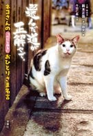 にゃんこの金言でほろりと泣けて、元気が出る!!　 SNSフォロワー60万人の「ネコ坊主」待望の書き下ろしはまさに読むパワースポット　『ネコさんの「心にしみる」おひとりさま名言』籔本正啓（ネコ坊主）:イメージ