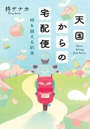 天国からの宅配便 時を越える約束