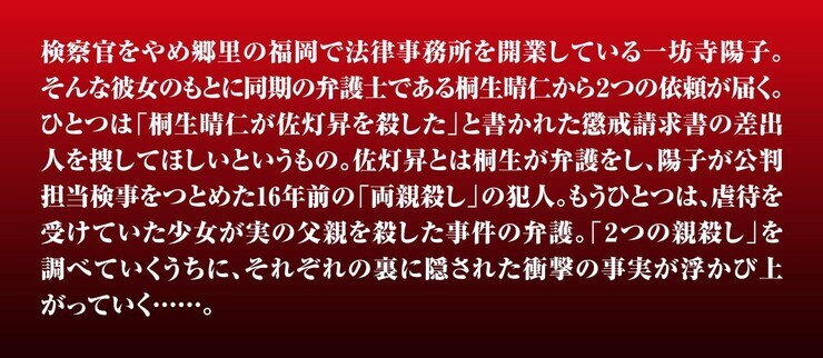 正義の段階　ヤメ検弁護士・一坊寺陽子