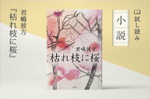 枯れ枝に桜(1/4):イメージ