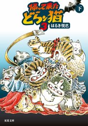 帰って来たどらン猫 3  下