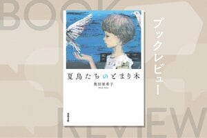SNSを通じた未成年者誘拐で問われるべき「真の罪」とは。母親から構われず育った少女が大人になり、封印していた過去の記憶と向き合う　『夏鳥たちのとまり木』奥田亜希子:イメージ