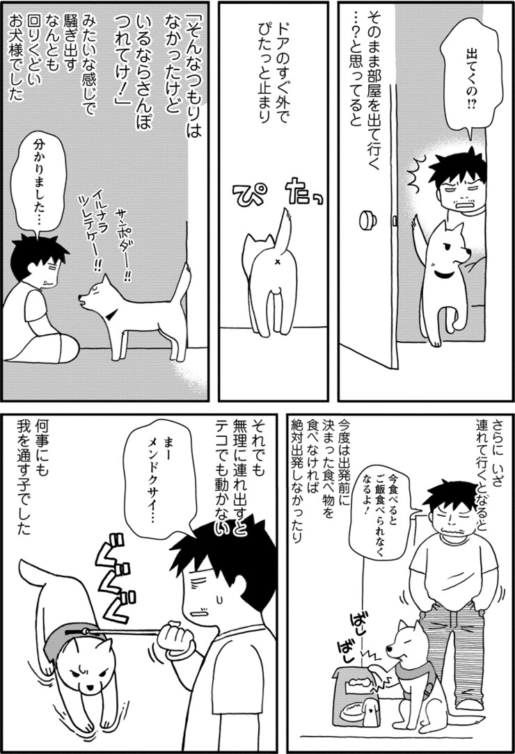 ゆう太のこと 第1回 014