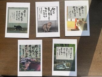 特製「ねこみくじ」