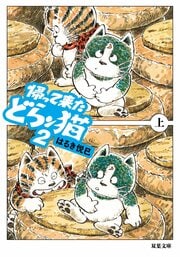 帰って来たどらン猫 2 上