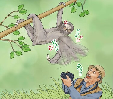 ヤバすぎ！ 超危険ないきもの図鑑(1/3)／今泉忠明：試し読み｜双葉社
