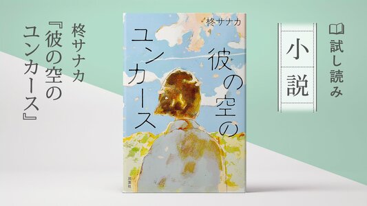 彼の空のユンカース:イメージ