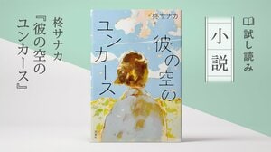 彼の空のユンカース