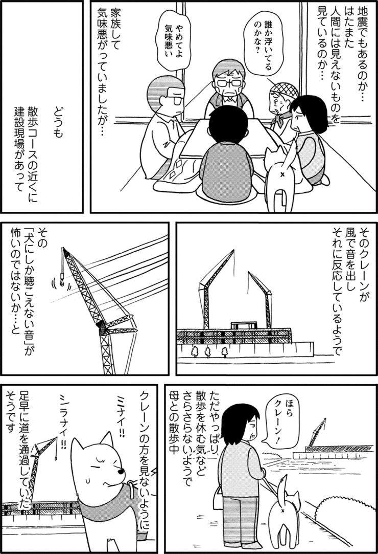 ゆう太のこと 第1回 019