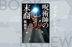 「万能薬」のレシピを入手し製造した結果、末期癌だった母親が完治……。不治の病も治す万能薬を巡るバトルがはじまる！『呪術師の末裔』楡周平:イメージ