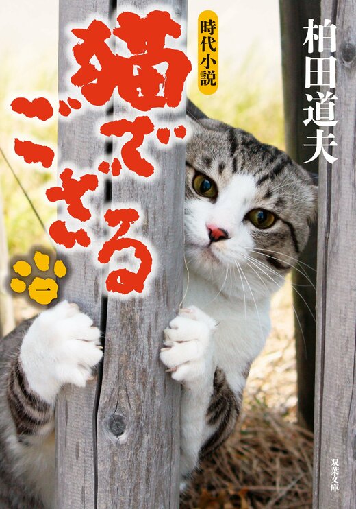 猫でござる【一】｜COLORFUL