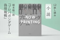 プロパガンダゲーム　偽情報戦(2/2)	:イメージ