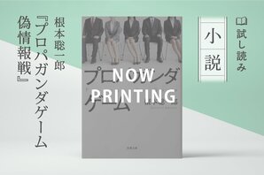 プロパガンダゲーム　偽情報戦(1/2)	:イメージ