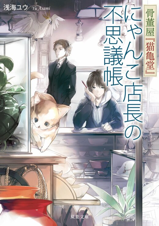 骨董屋『猫亀堂』 にゃんこ店長の不思議帳｜COLORFUL