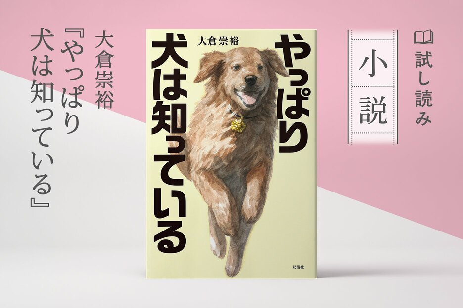 やっぱり犬は知っている