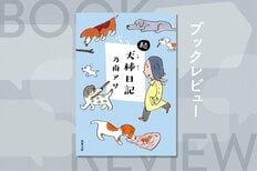 行きずりの人の背景に「ドラマ」が見える！　サスペンスの名手が日常生活の中で見かけた奇妙な人々を鋭い観察眼で描く「人間観察エッセイ」第２弾！『続・犬棒日記』乃南アサ:イメージ