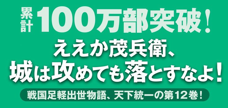 三河雑兵心得 12 小田原仁義