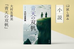 青天の双帆(4/4):イメージ