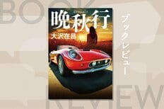 なぜ、尊敬する上司と恋人は、自分を裏切ったのか。30年前に消えた最愛の人を忘れられない60代男の「情けなさ」を描いた大沢ハードボイルドの新境地！『晩秋行』大沢在昌:イメージ