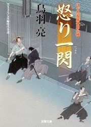 はぐれ長屋の用心棒 24 怒り一閃