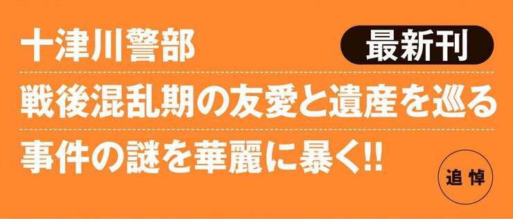 警視庁捜査一課の市橋大樹は、入院中の祖父・勝之介から、青春時代を過ごした呉と広島の写真を撮ってきてくれと頼まれ現地を訪れる。だが、宿泊した旅館で勝之介の名刺を持った男が殺害される。その後、勝之介も急な死を遂げる。大樹は十津川警部と亀井とともに呉と広島に向かう。そこで、勝之介の新たな一面が浮かび上がる。