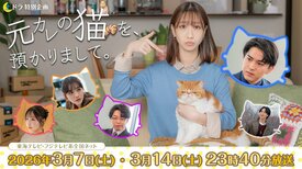 柏木由紀の主演で、ついに本日ドラマスタート。　しゃべる猫が恋愛指南する話題作『元カレの猫を、預かりまして。』が2週連続放送へ！:イメージ