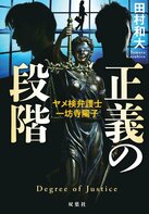 「このミス」大賞出身＆現役弁護士作家が問う裁けなかった罪“親殺し”。家族の闇に切り込む圧巻のサスペンス　『正義の段階 ヤメ検弁護士・一坊寺陽子』田村和大:イメージ