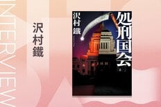 最新の嘘発見器で元幹事長の大罪を暴いて国会内で火あぶりに！　政治エンタテイメント小説『処刑国会』沢村鐵インタビュー（後編）:イメージ